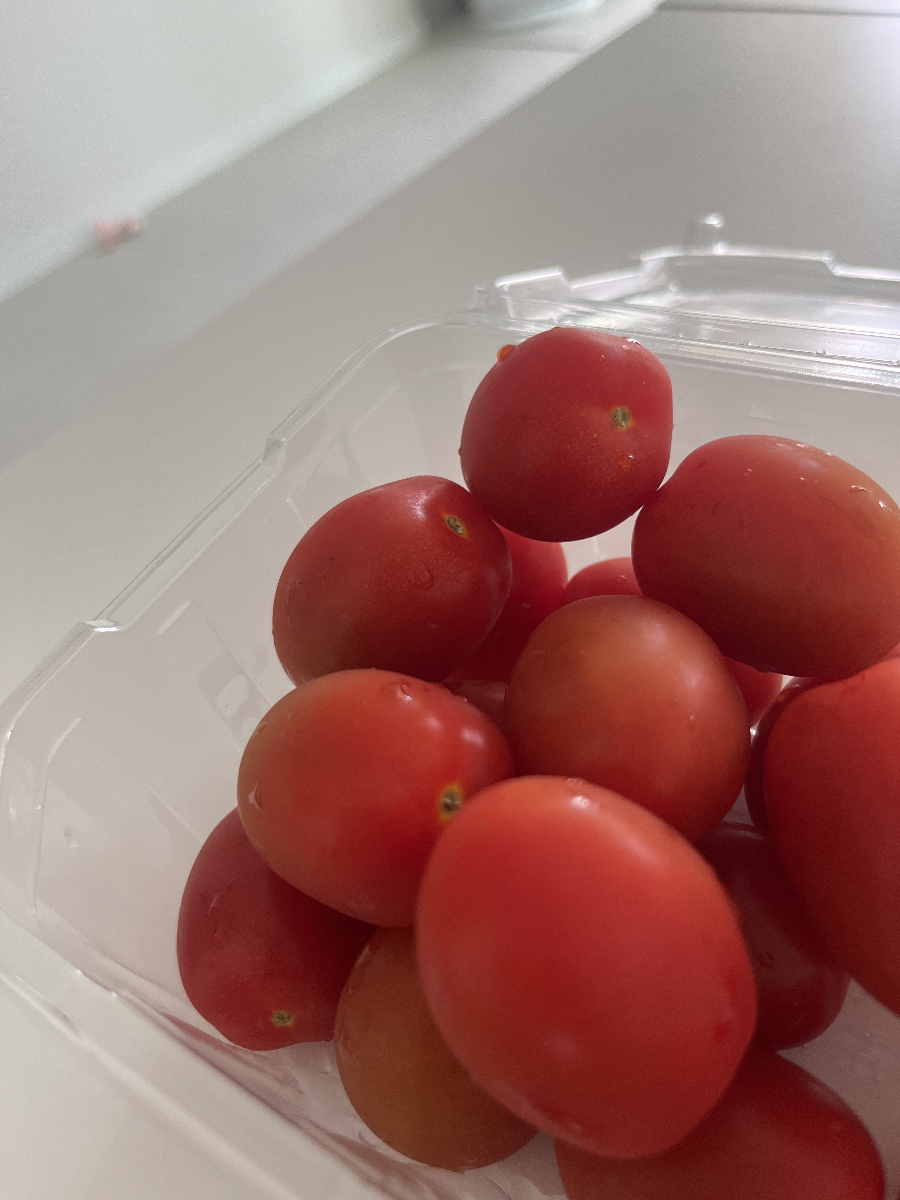 청년농부 김기범농가 첫출하 제주 방울토마토 2kg 신선 과일