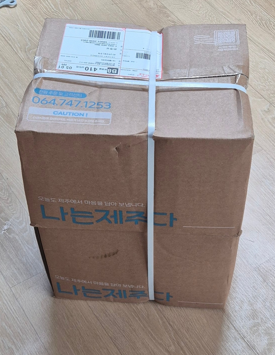 애월농가 요리용 제주 햇 양파 5kg 아삭 달큰 채소