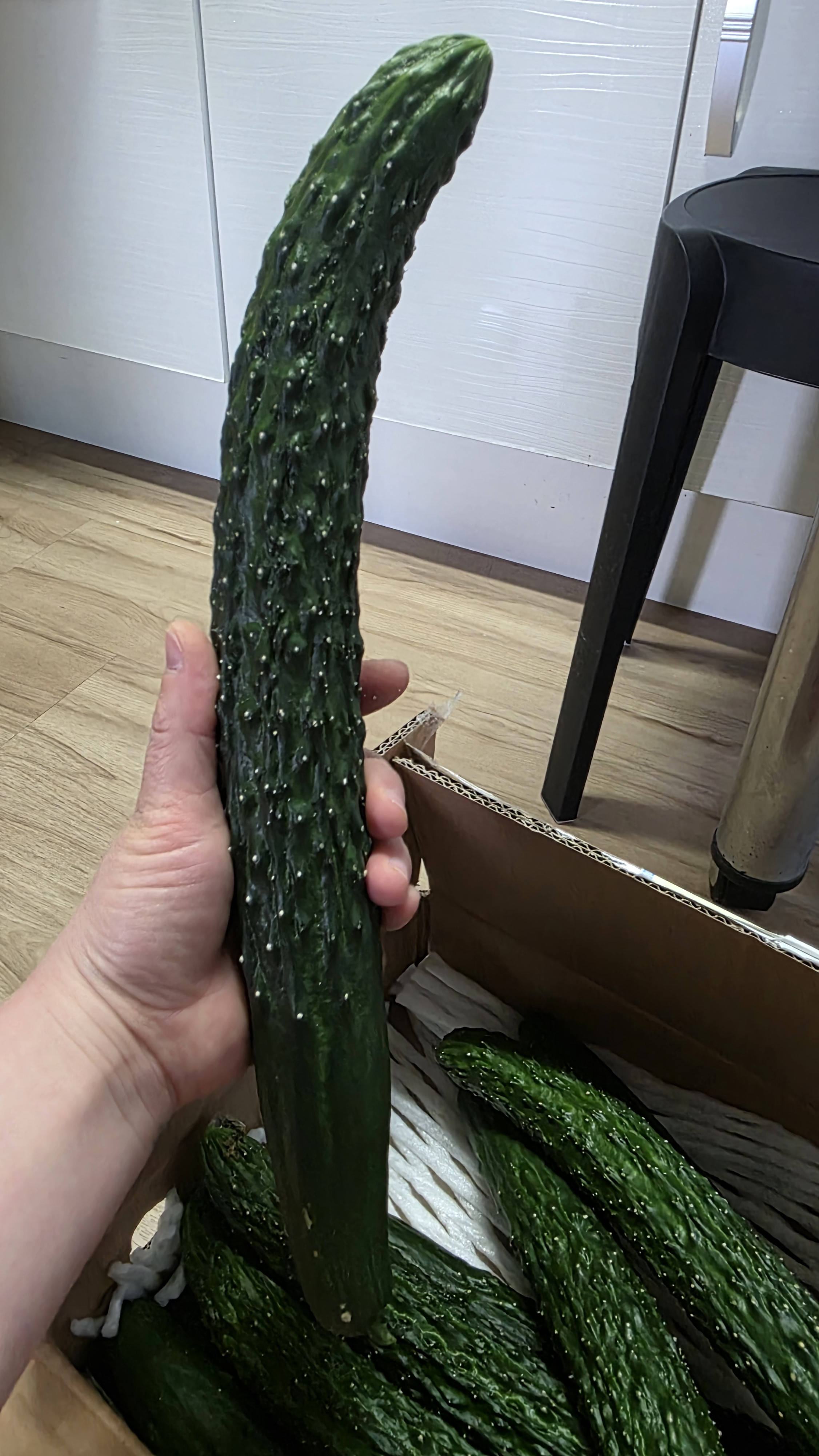 아삭아삭 제주 가시 오이 3kg 여름채소 샐러드 반찬