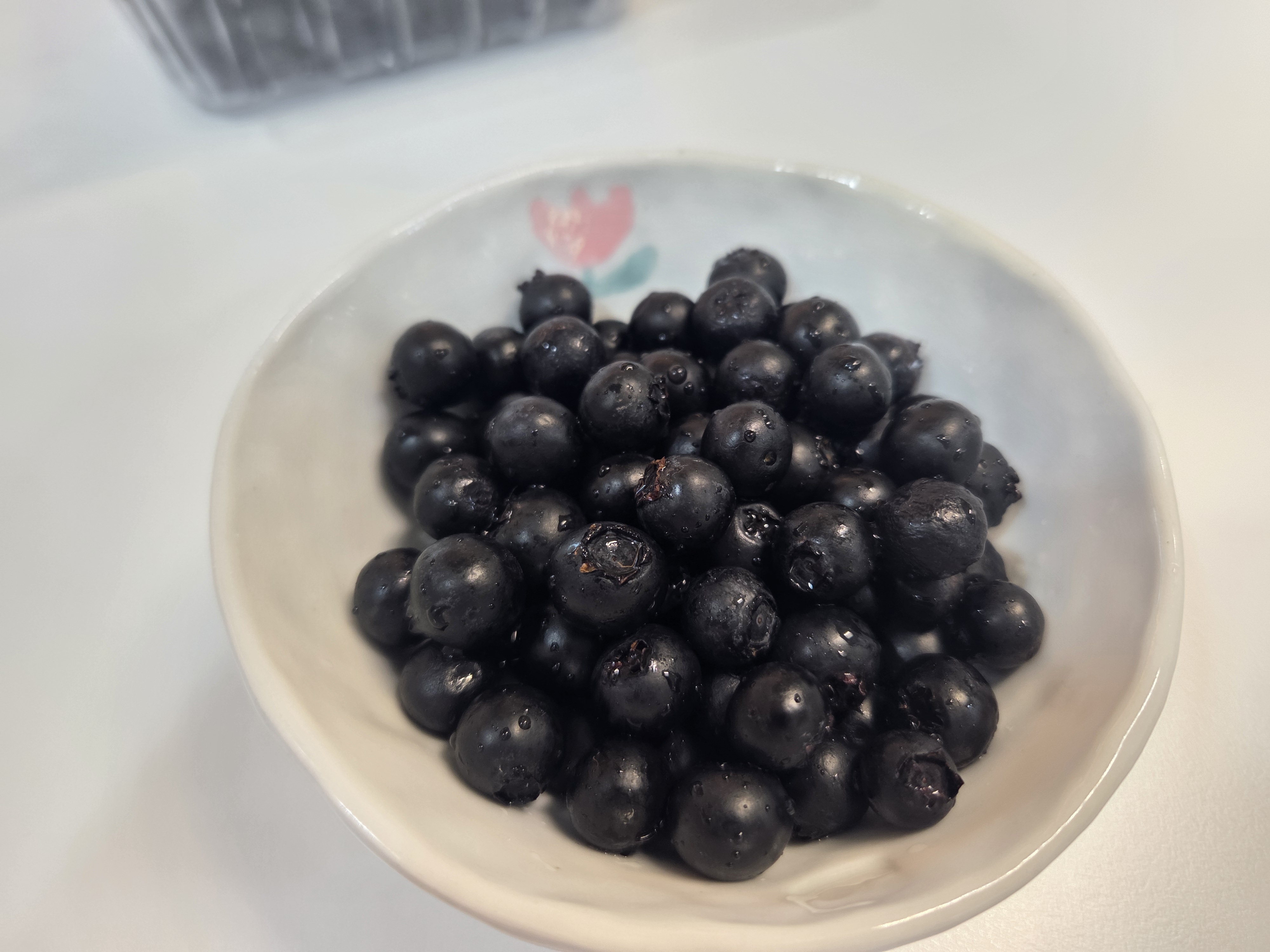 [홍베리] 5월 제철 친환경 무농약 보라빛 블루베리 1kg 소과