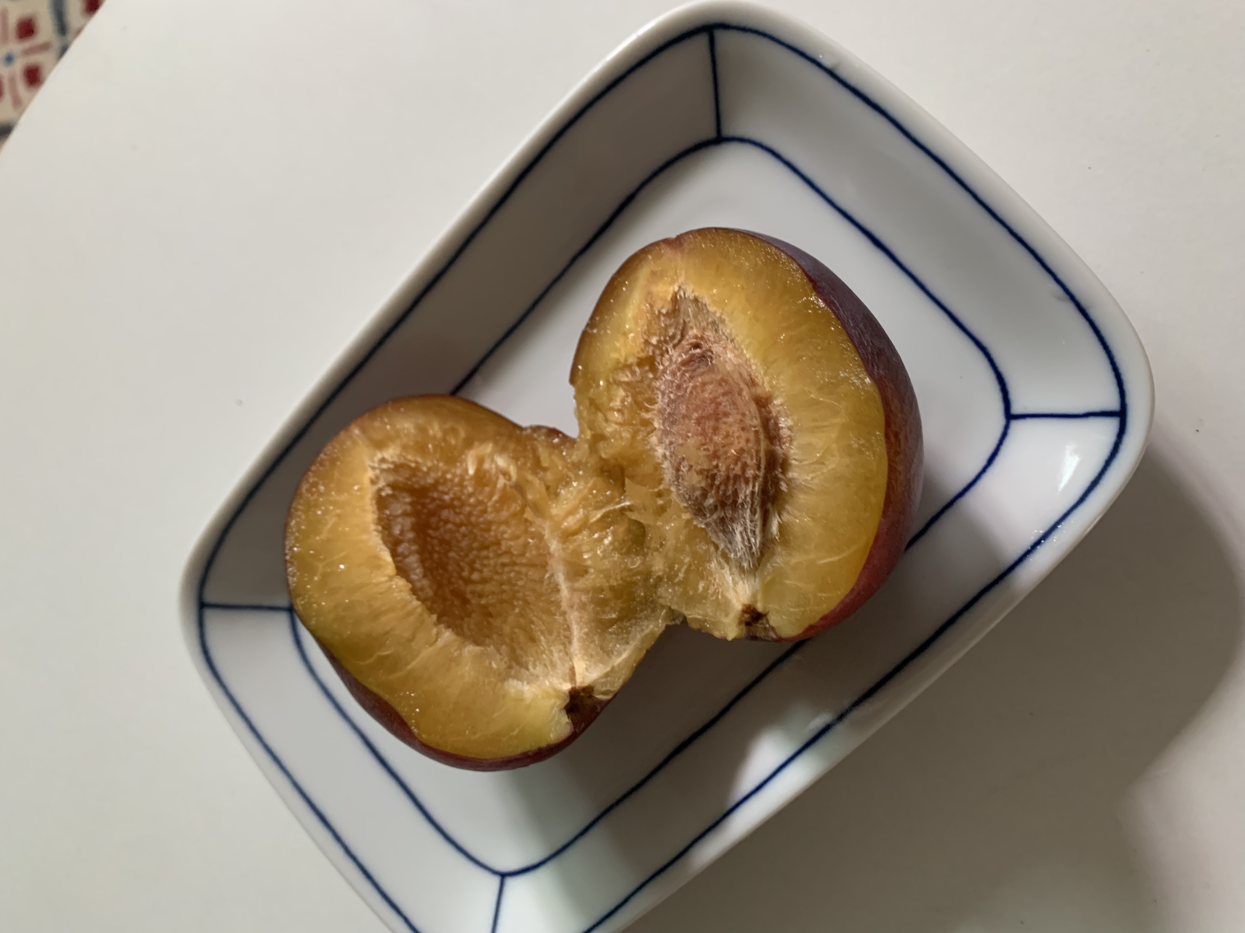 리뷰 사진