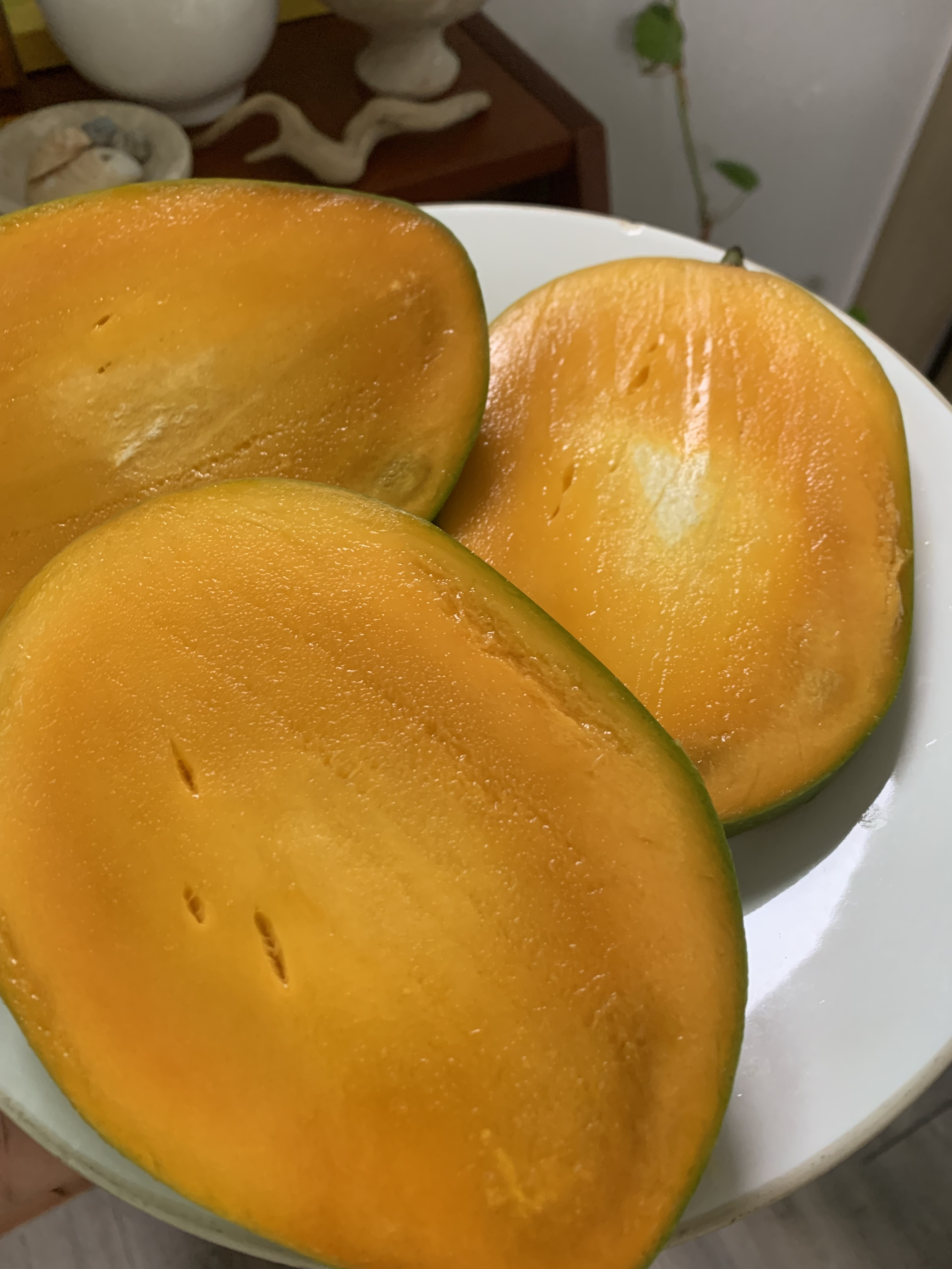 리뷰 사진