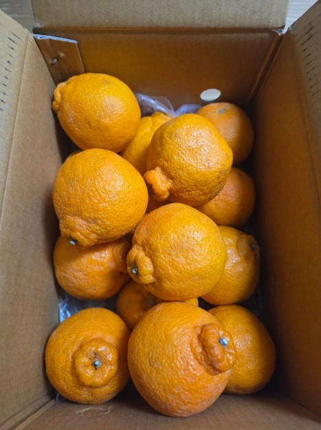 리뷰 사진